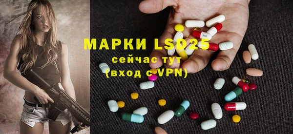 стаф Карталы